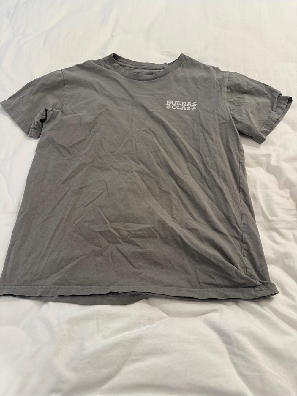 Men's Gray Logo Tee